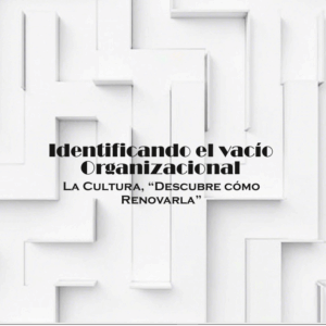 Identificando el vacío  Organizacional